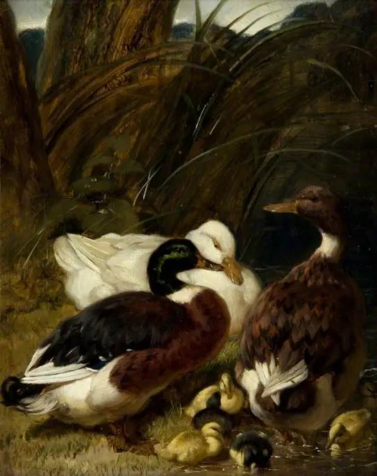 Um grupo de patos - John Frederick Herring, Sr.