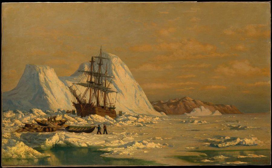 Um incidente de caça à baleia - William Bradford