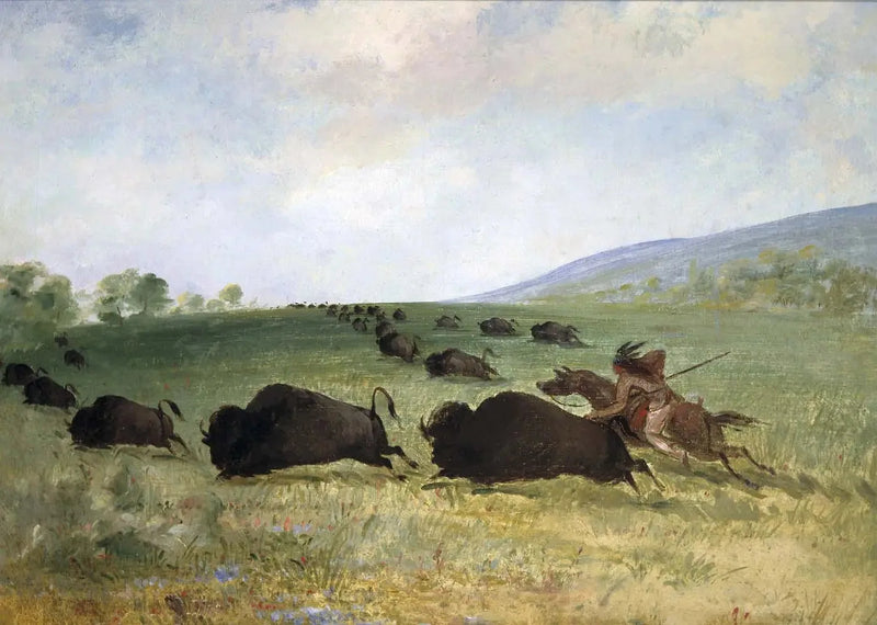 Um Índio Osage lança um búfalo - George Catlin