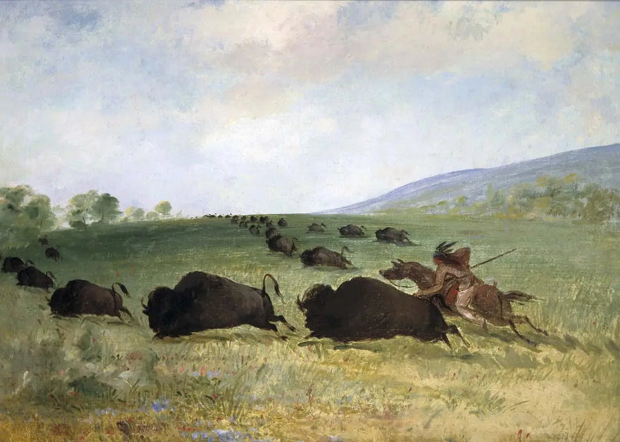 Um Índio Osage lança um búfalo - George Catlin