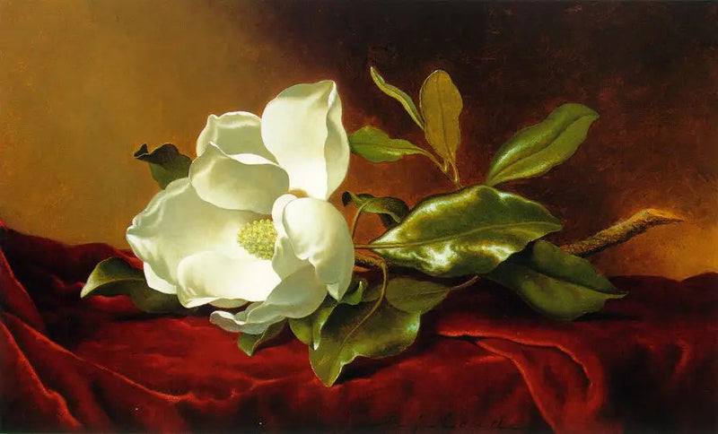 Um magnólia sobre veludo vermelho - Martin Johnson Heade