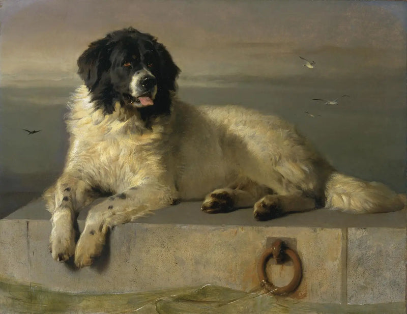 Um membro distinto da Humane Society - Edwin Henry Landseer