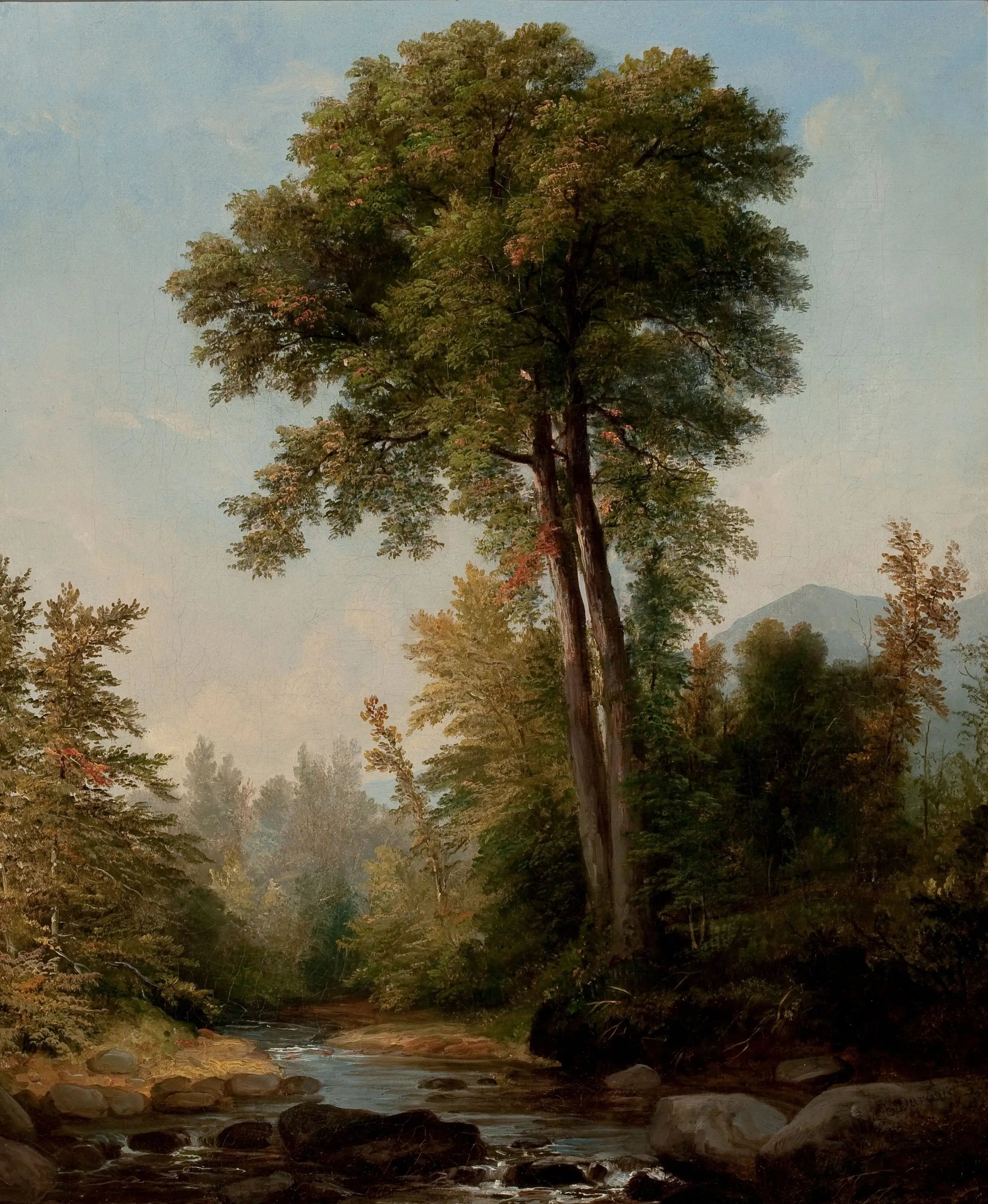 Un monarque naturel - Asher Brown Durand - Alpha Reproduction