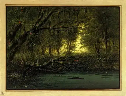 Um ninho de jacaré - George Catlin