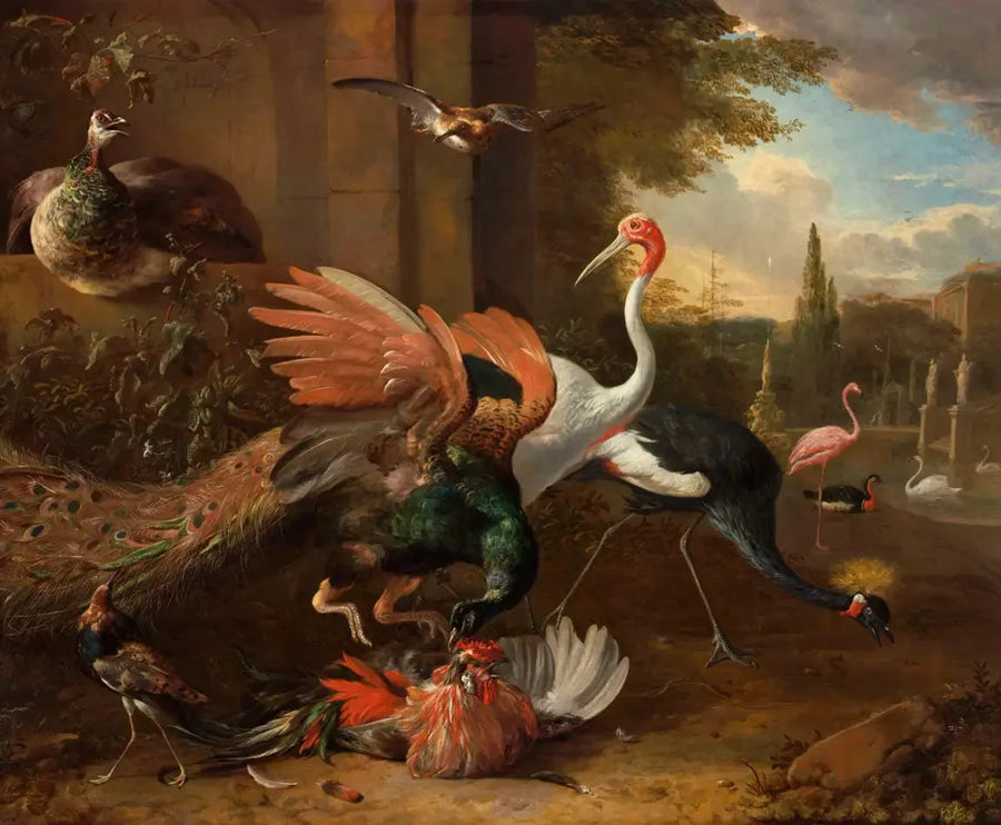 Um pavão atacando um galo - Melchior de Hondecoeter