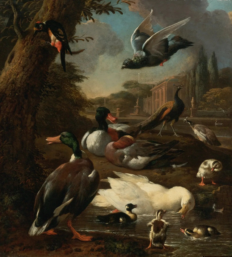 Um pavão, uma pomba, patos e outros pássaros em um jardim - Melchior de Hondecoeter