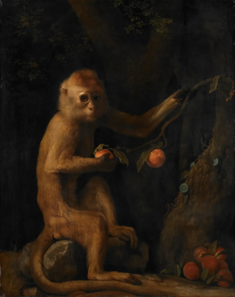 Um macaco - George Stubbs