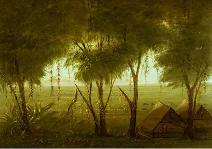 Uma aldeia de Connibo - George Catlin