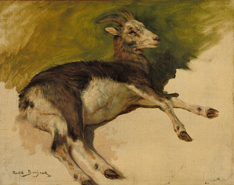 Uma cabra - Rosa Bonheur