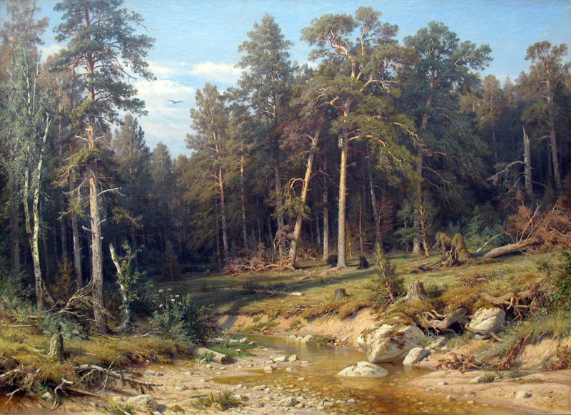 Uma floresta de pinheiros. Floresta de mastros na província de Viatka. - Ivan Chichkine