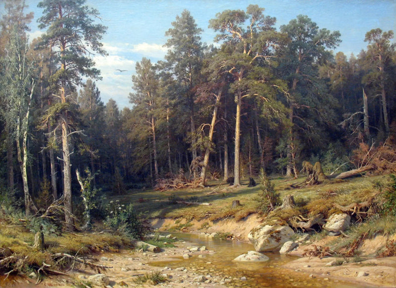 Uma floresta de pinheiros. Floresta de mastros na província de Viatka. - Ivan Chichkine
