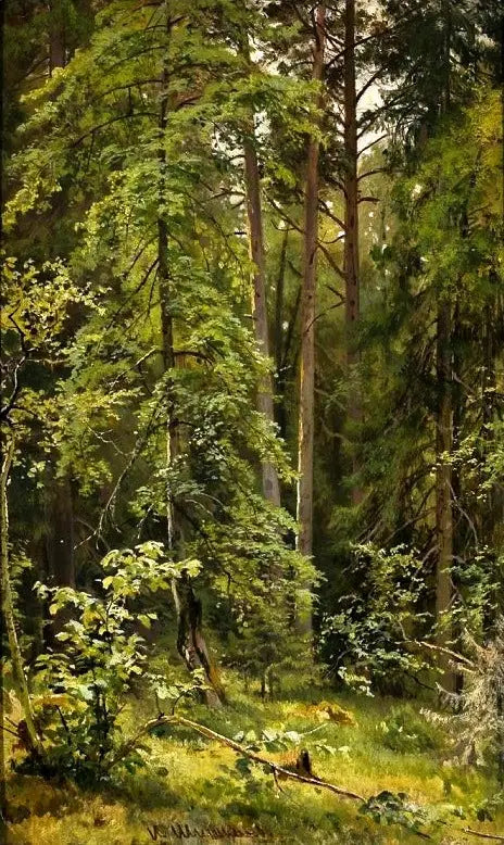 Uma floresta - Ivan Chichkine