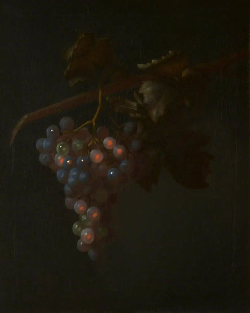 Um cacho de uvas - Tobias Stranover