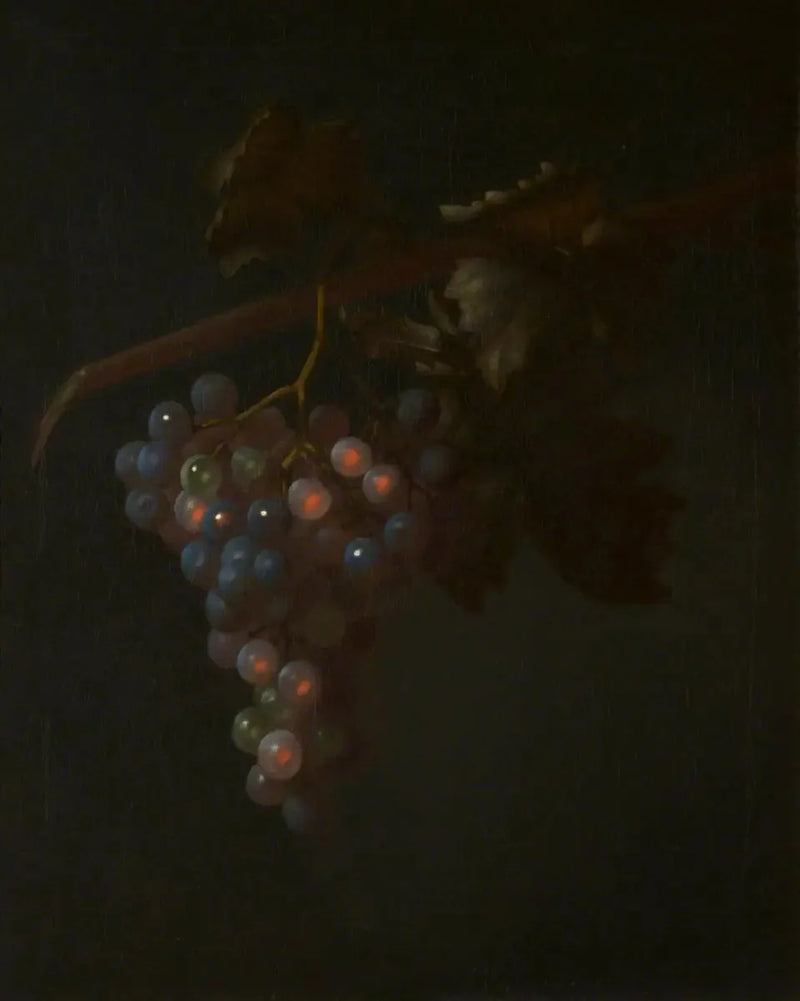 Um cacho de uvas - Tobias Stranover