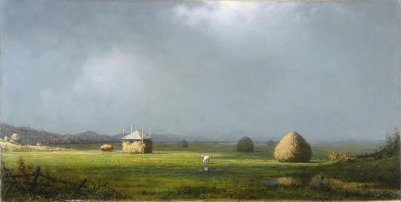 Um dia nublado - Martin Johnson Heade