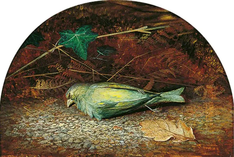 Uma tentilhão morto - John Atkinson Grimshaw