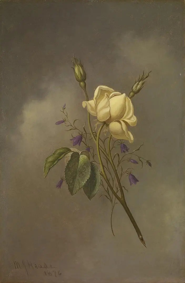 Uma rosa amarela contra um céu nublado - Martin Johnson Heade