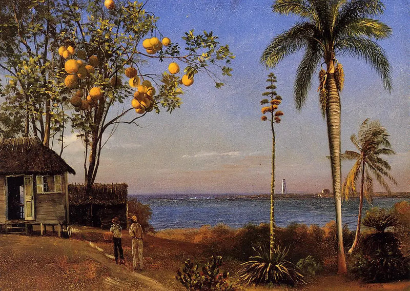 Uma vista nas Bahamas, óleo sobre papel colado em painel de madeira, 48,58 x 35,24 cm - Albert Bierstadt