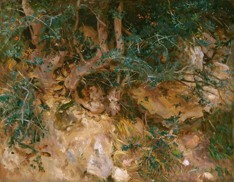 Valdemosa, Maiorca: cardos e ervas em uma colina - John Singer Sargent