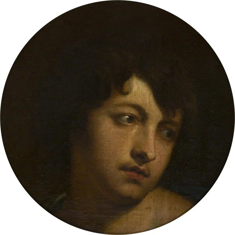 Van Dyck no papel de Paris - Antoine van Dyck