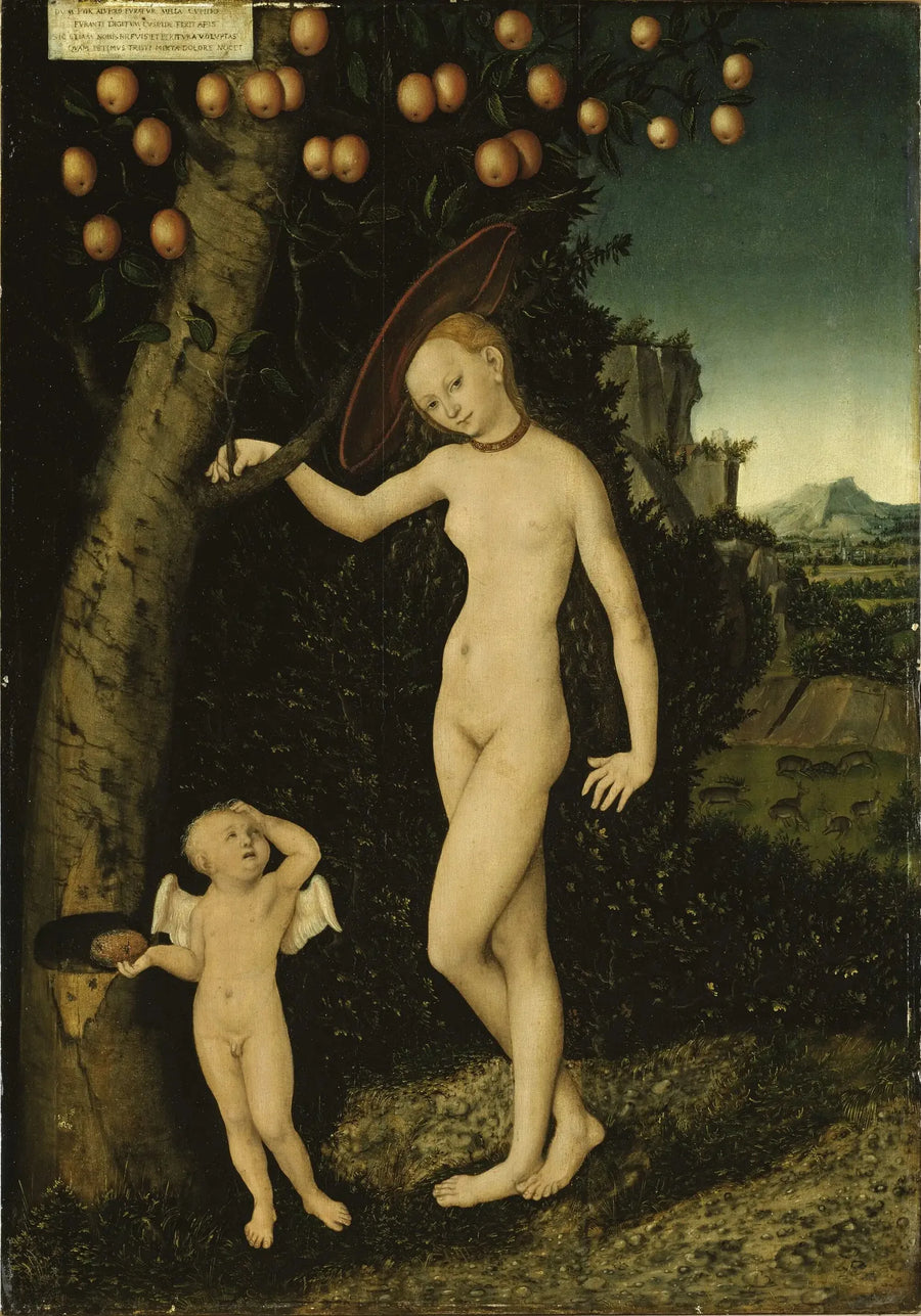 Vênus e Cupido em ladrão de mel - Lucas Cranach, o Velho