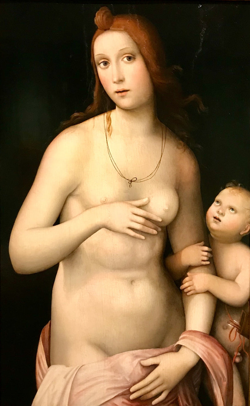 Vênus e Cupido - Francesco Francia