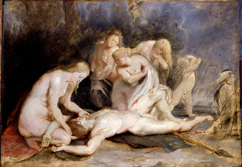 Vênus chorando por Adônis - Peter Paul Rubens