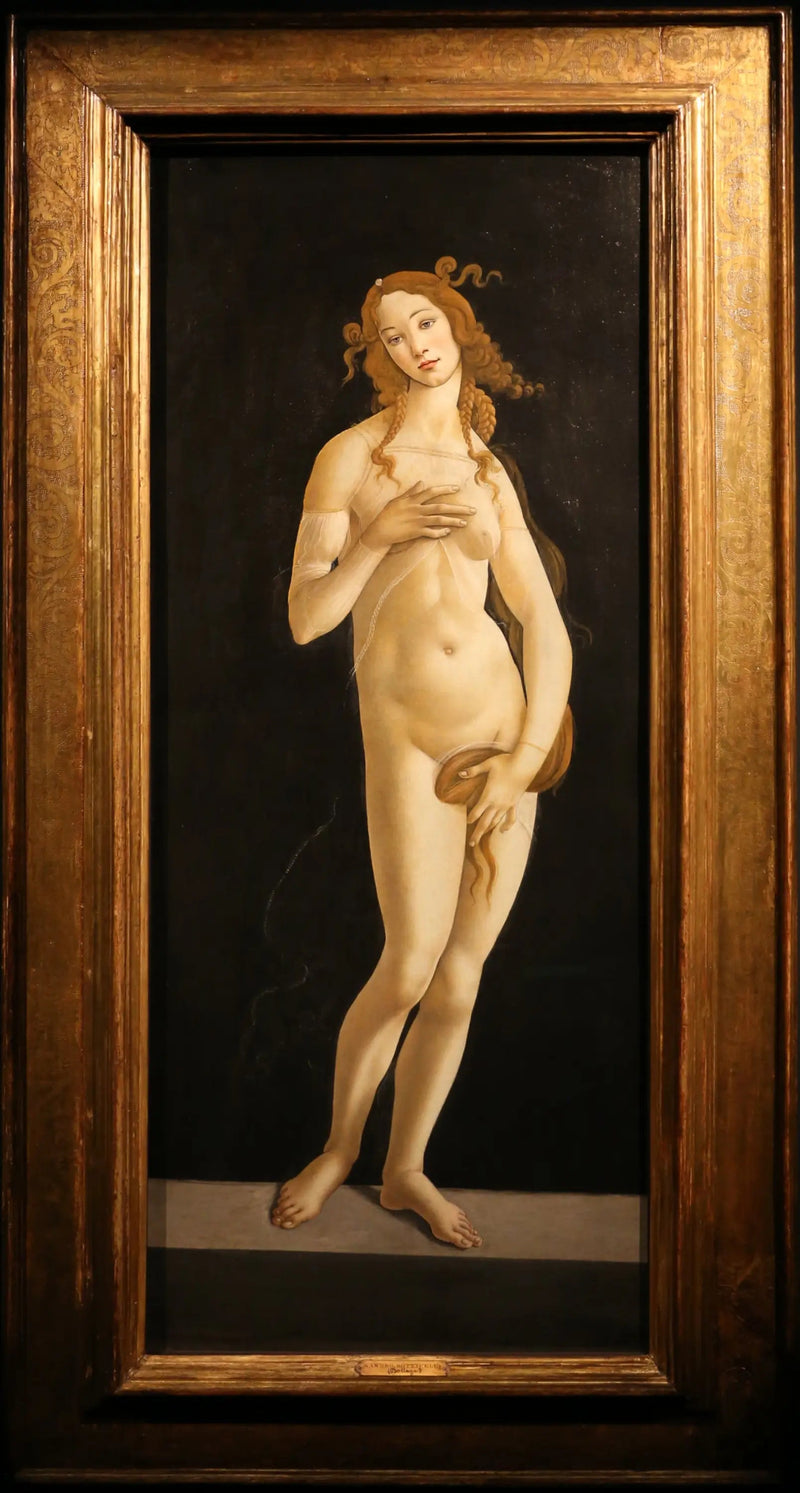Vênus Pudica - Sandro Botticelli