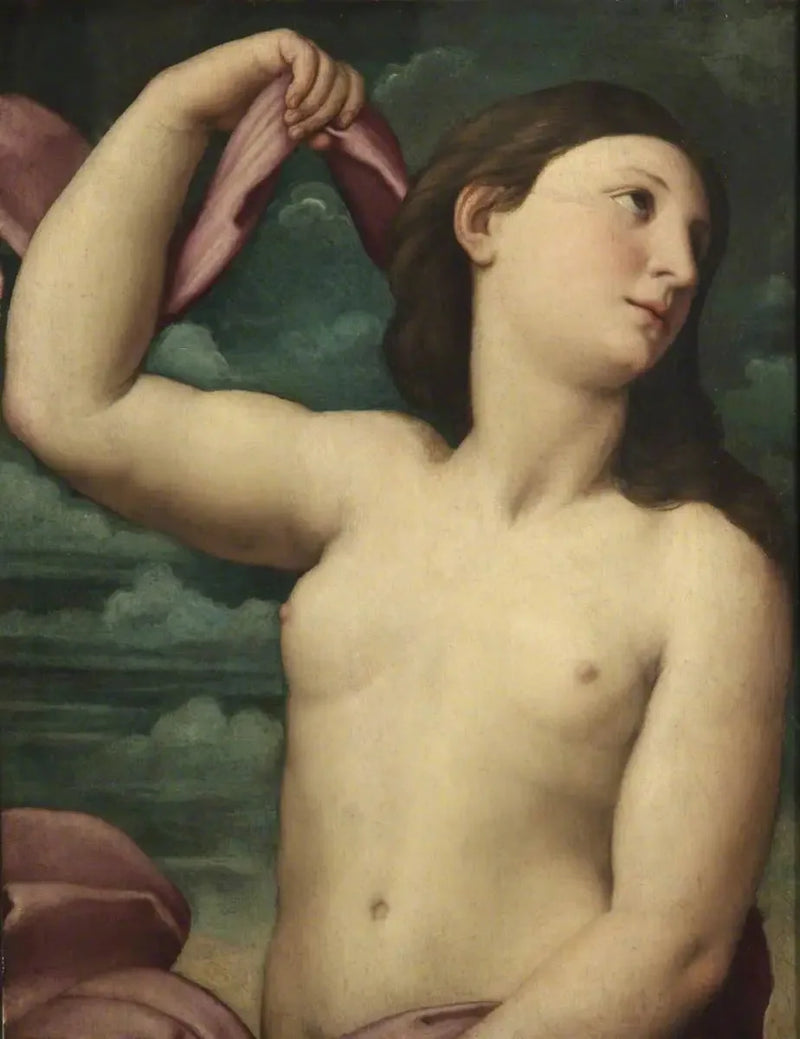 Vênus - Rafael Sanzio