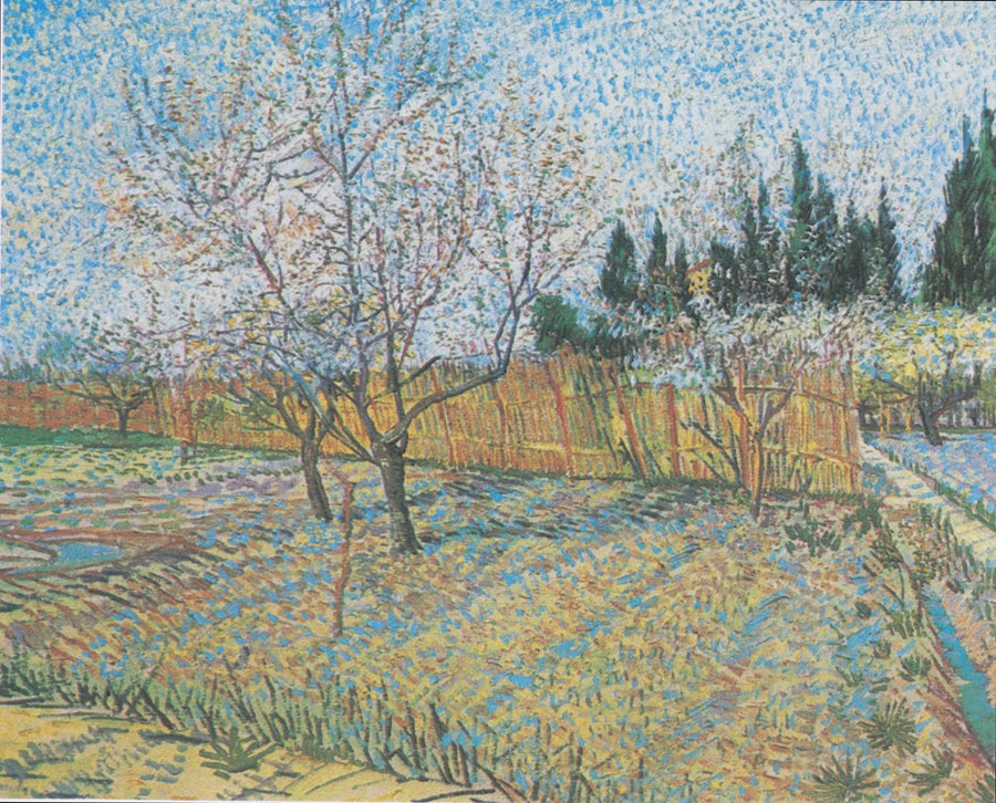 Pomar com ciprestes - Vincent van Gogh