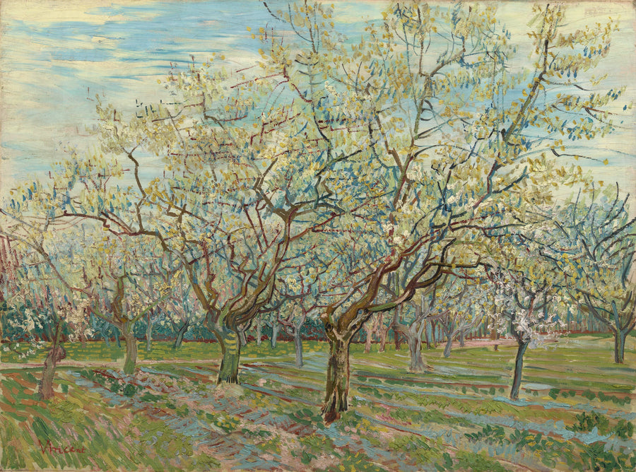 O pomar branco - Vincent van Gogh