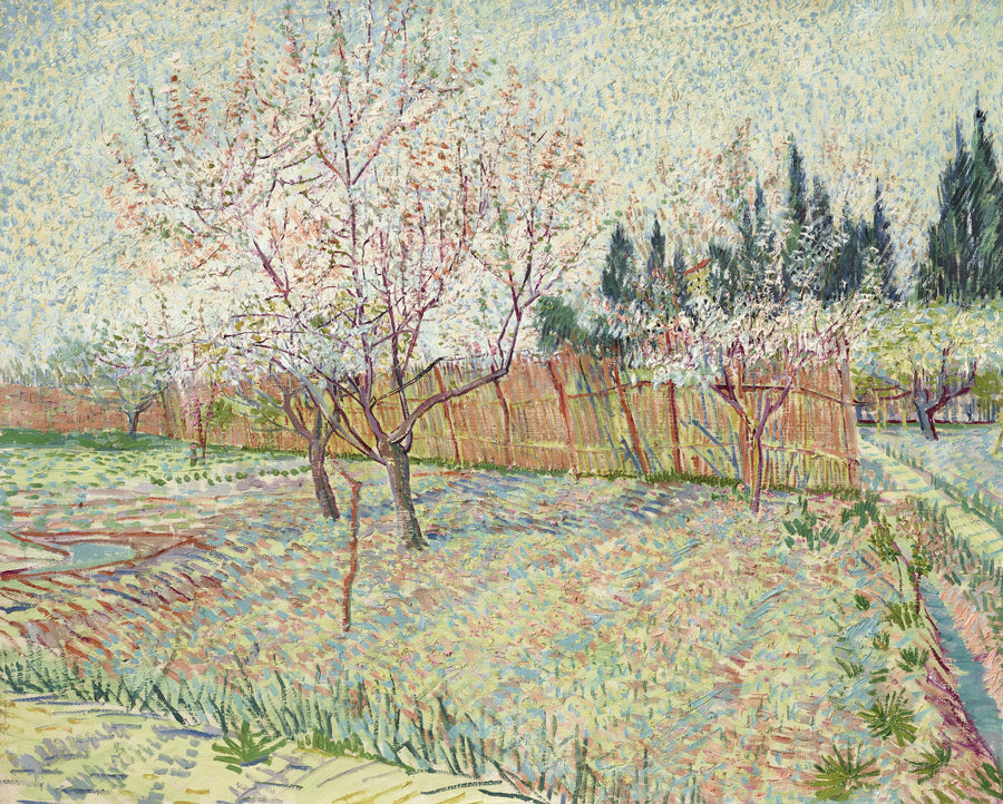 Pomar com ciprestes - Vincent van Gogh
