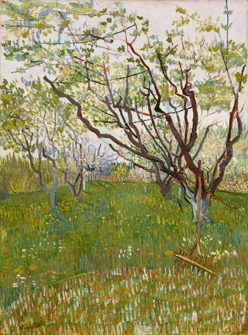 Pomar em flor - Vincent van Gogh