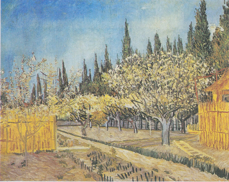 Pomar em flor, cercado por ciprestes - Vincent van Gogh