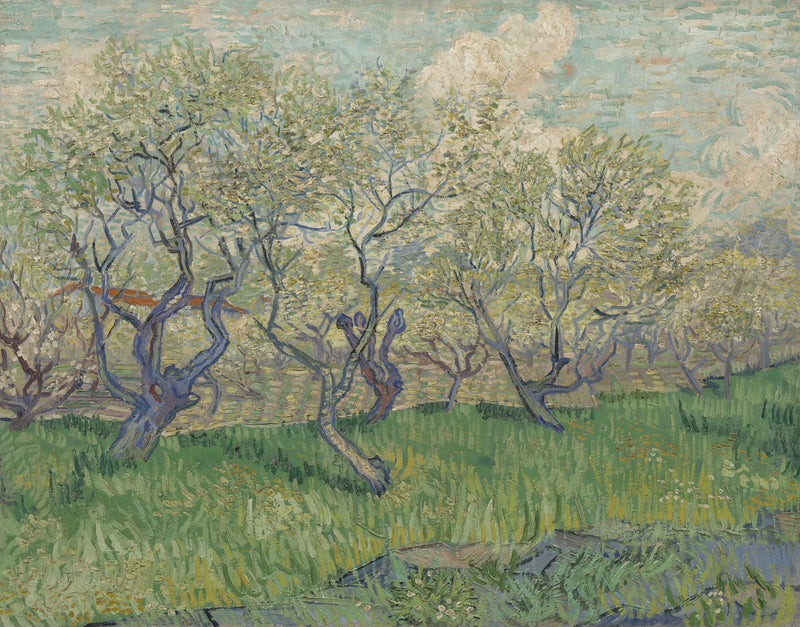 Pomar em flor - Vincent van Gogh