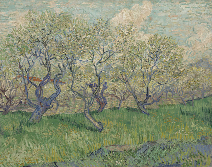 Pomar em flor - Vincent van Gogh