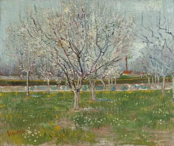 Pomar em flor - Vincent van Gogh