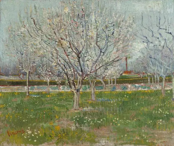Pomar em flor - Vincent van Gogh