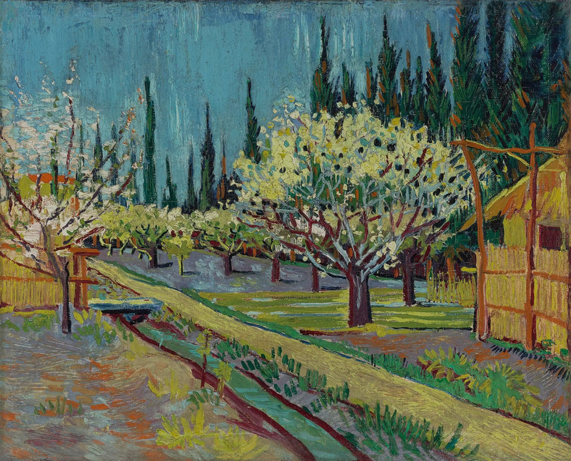 Pomar florido, cercado por ciprestes - Vincent van Gogh