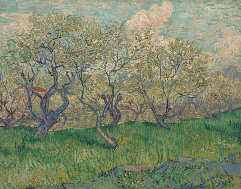 Pomar em flor - Vincent van Gogh