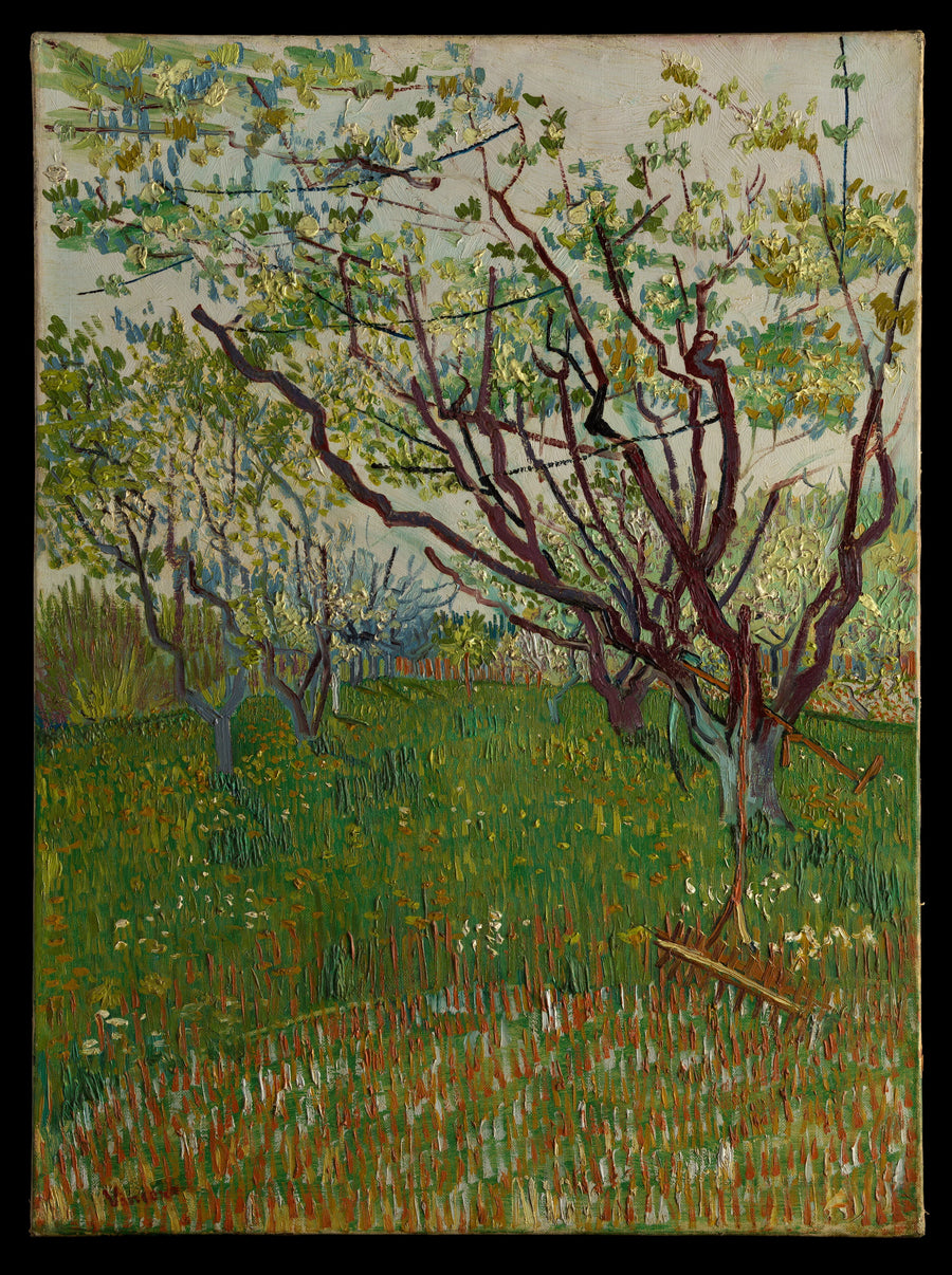 Pomar em flor - Vincent van Gogh