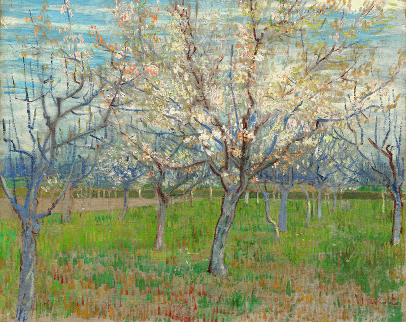 O pomar rosa - Vincent van Gogh