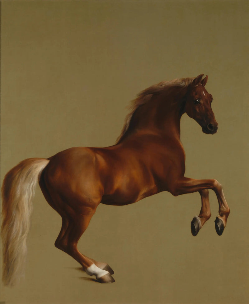 Casaco com som de apito - George Stubbs