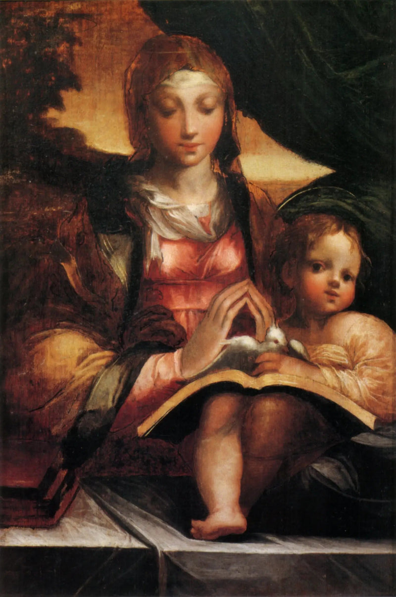Virgem com o Menino - Parmigianino