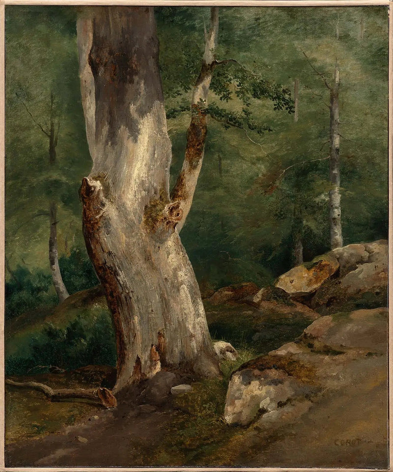 Faia Velha - Jean-Baptiste Camille Corot