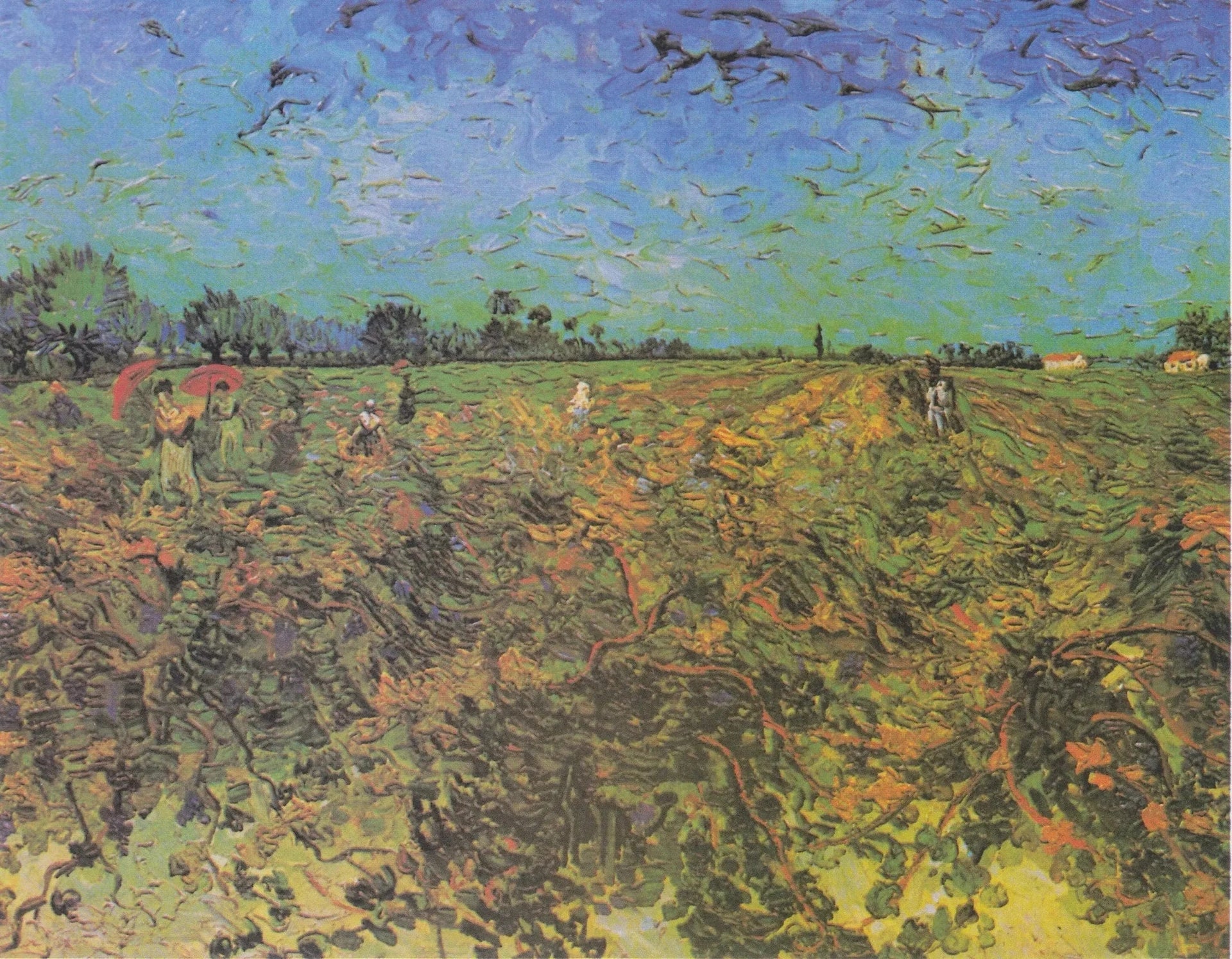 La Vigne verte F475 de Vincent van Gogh, Kröller-Müller Museum