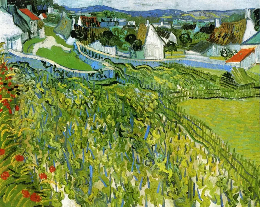 Vinhedos de Auvers - Vincent van Gogh
