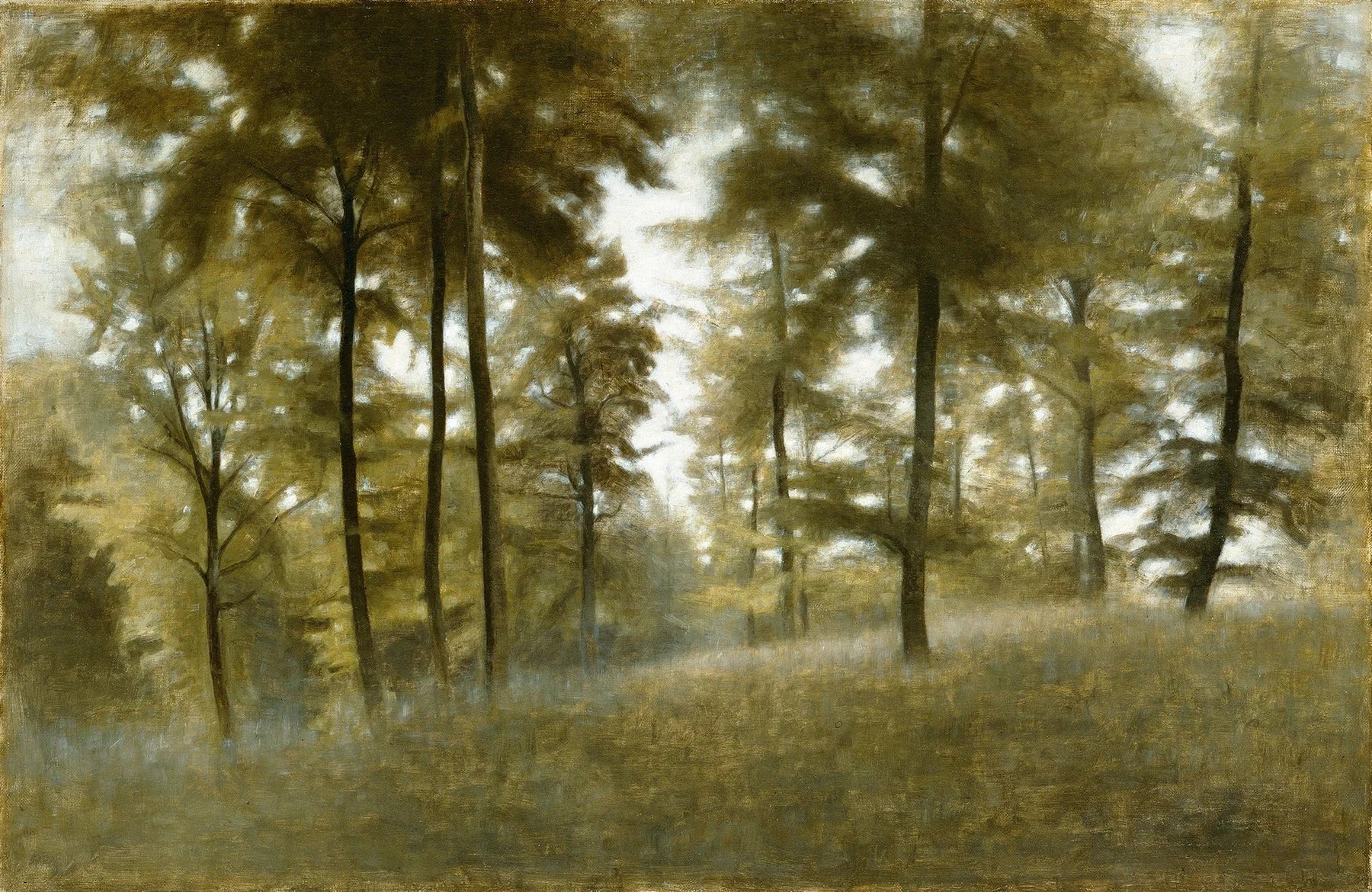 Jeune Hêtraie à Frederiksværk, peinture de Vilhelm Hammershøi