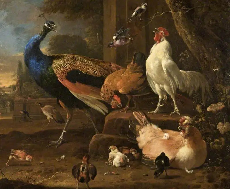 Aves - Melchior de Hondecoeter