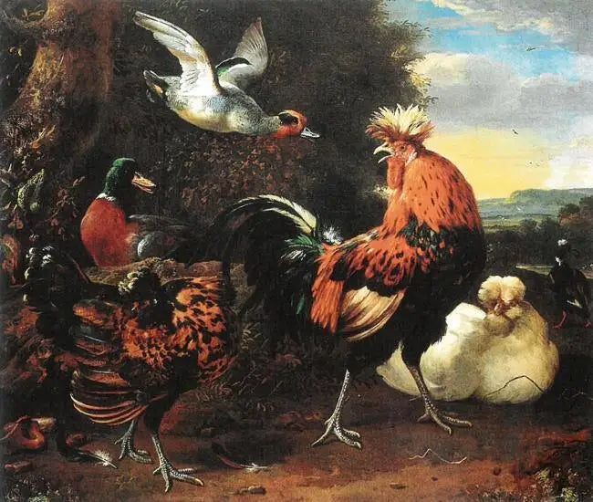 Aves - Melchior de Hondecoeter